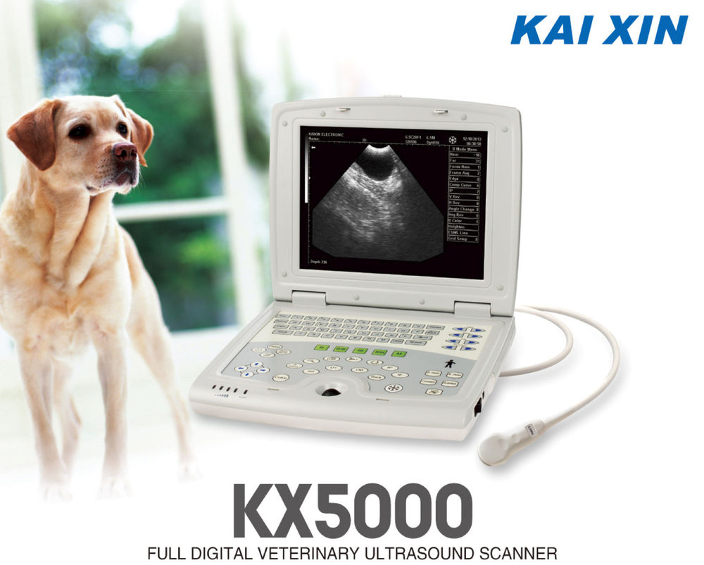 Kaixin KX5000V Veterinary Laptop Ultrasound Machine & 6.5Mhz Linear Rectal Probe DIAGNOSTIC ULTRASOUND MACHINES FOR SALE