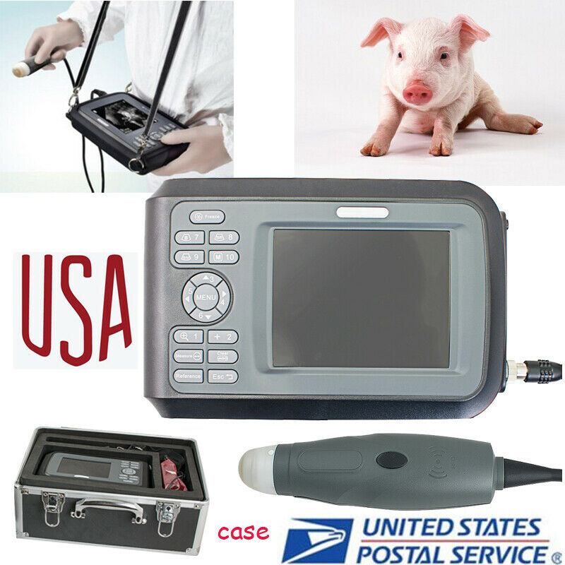Portable Ultrasound Scanner for Veterinary 3.5M mechanical sector scanning Probe DIAGNOSTIC ULTRASOUND MACHINES FOR SALE