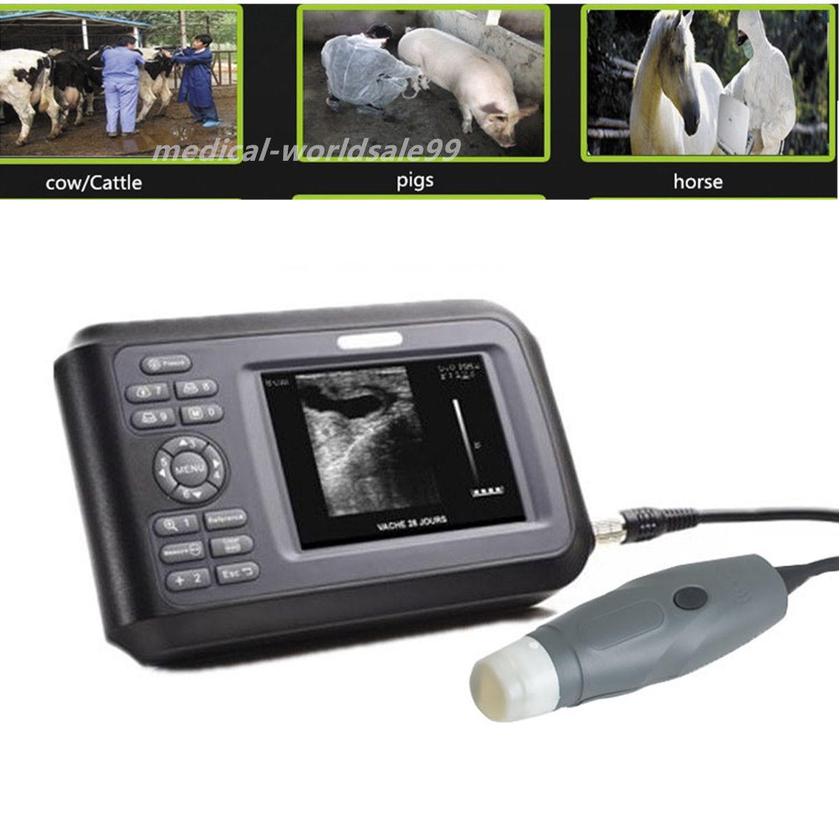 Portable Veterinary/VET Ultrasound Scanner Rectal Probe For Pig Dog Pregnancy 190891468284 DIAGNOSTIC ULTRASOUND MACHINES FOR SALE