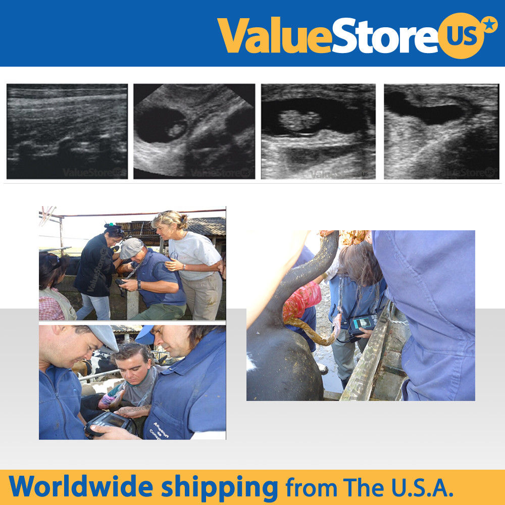 Portable Ultrasound Scanner Veterinary Pregnancy V16 with 7.5 MHz Rectal Probe. 4260163841605 DIAGNOSTIC ULTRASOUND MACHINES FOR SALE