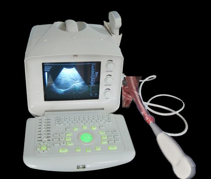 veterinarian B Ultrasound Scanner Machine Micro-convex Array Probe Animals 3D 190891743565 DIAGNOSTIC ULTRASOUND MACHINES FOR SALE