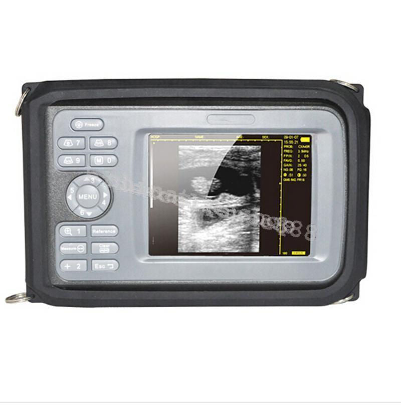 5.5 " Palmtop Handheld Ultrasound Machine Scanner Micro-convex Heart Probe Case 190891404091 DIAGNOSTIC ULTRASOUND MACHINES FOR SALE