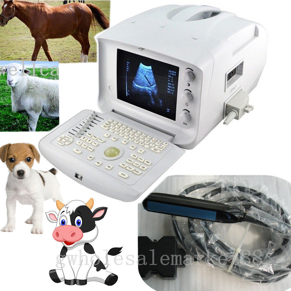 New Portable Vet Pet Veterinary Ultrasound Scanner Machine + Rectal Probe + 3D 190891826916 DIAGNOSTIC ULTRASOUND MACHINES FOR SALE