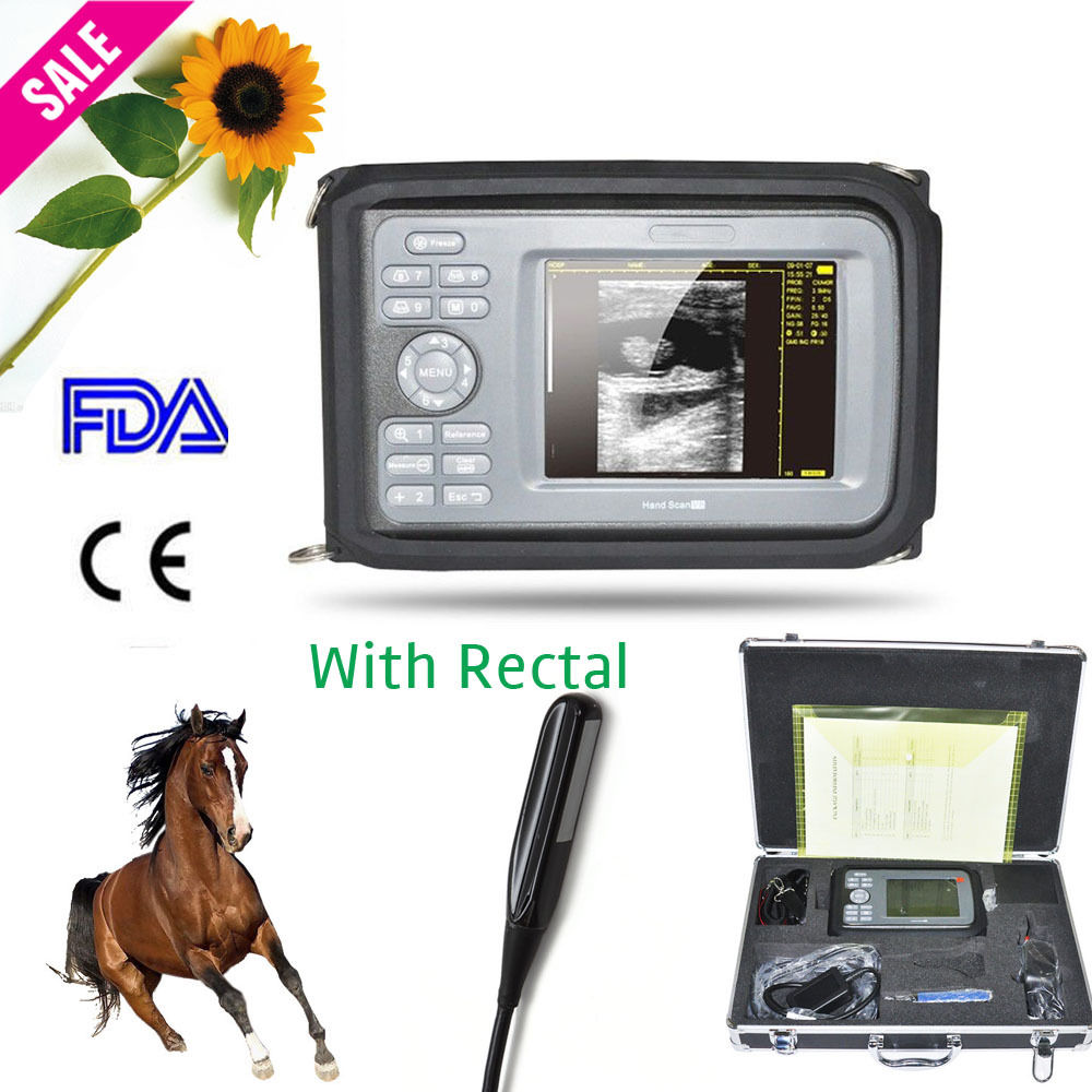 Portable Ultrasound Scanner Machine Animal Rectal Probe Box Veterinary USA SHIP 190891428547 DIAGNOSTIC ULTRASOUND MACHINES FOR SALE
