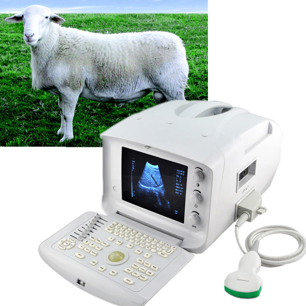 Portable Veterianry Animal Ultrasound Scanner machine 6.5Mhz Rectal Probe 3D CE 190891582799 DIAGNOSTIC ULTRASOUND MACHINES FOR SALE