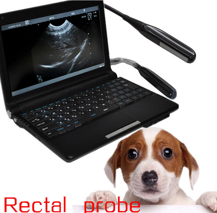 Vet Digital Laptop Veterinary Ultrasound Scanner Machine+ Rectal probe 3D A+ 190891426246 DIAGNOSTIC ULTRASOUND MACHINES FOR SALE