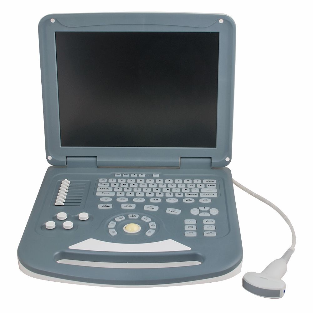 15" Doppler Ultrasound Diagnostic System Scanner Convex Transvaginal 2 Probe A+ 190891646774 DIAGNOSTIC ULTRASOUND MACHINES FOR SALE