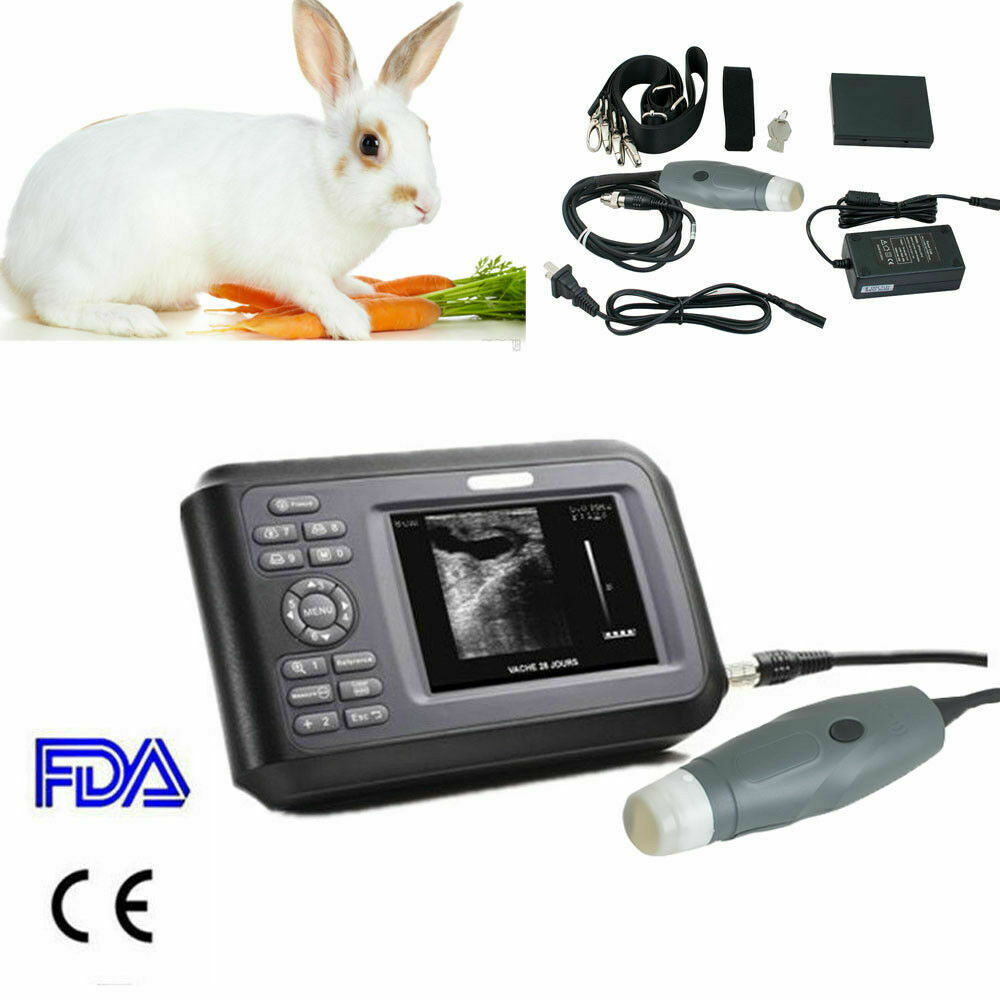 Portable Veterinary Vet Ultrasound Scanner Machine Kit For Pregnancy Animal Dog DIAGNOSTIC ULTRASOUND MACHINES FOR SALE