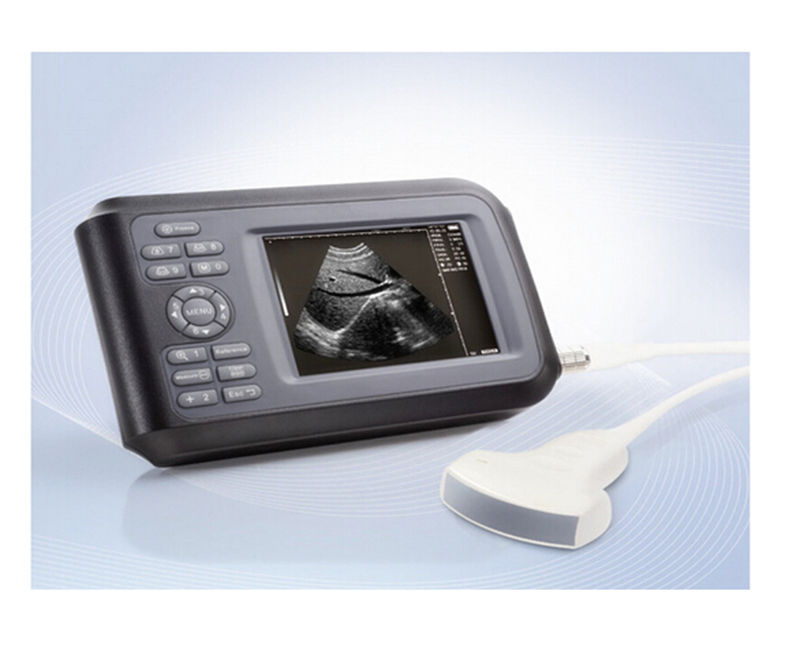 Handheld LCD Digital SystemUltrasound Scanner + 6.5MHz Transvaginal Probe 64Case 190891411099 DIAGNOSTIC ULTRASOUND MACHINES FOR SALE