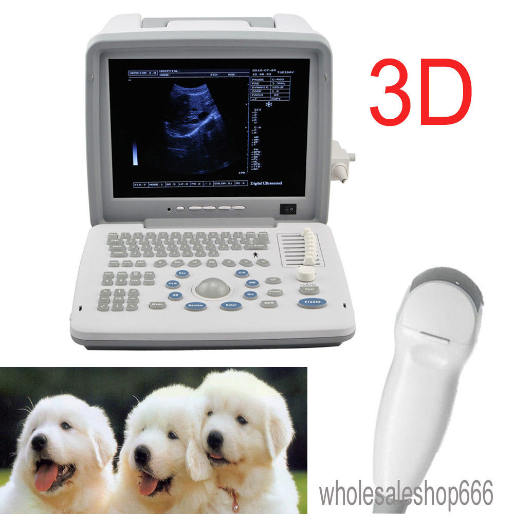 Portable Veterinary Ultrasound Machine Scanner+Micro-convex Probe Animal CE Sale DIAGNOSTIC ULTRASOUND MACHINES FOR SALE