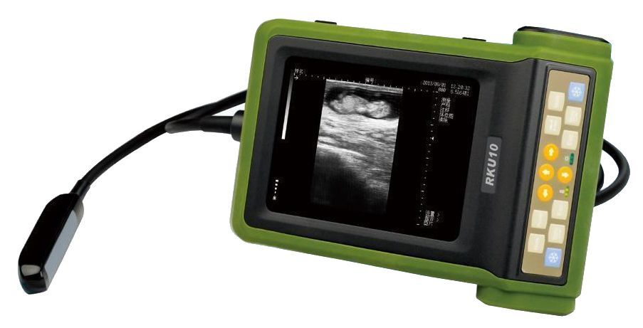 RKU-10 Best Veterinary Handheld Palm Ultrasound Scanner & Rectal Probe-KeeboMed DIAGNOSTIC ULTRASOUND MACHINES FOR SALE