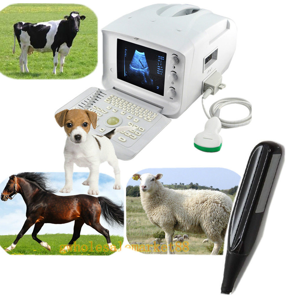 NEW Vet Veterianry Ultrasound Scanner 3.5 Convex + 6.5 Rectal probe Pet Farm Cow DIAGNOSTIC ULTRASOUND MACHINES FOR SALE
