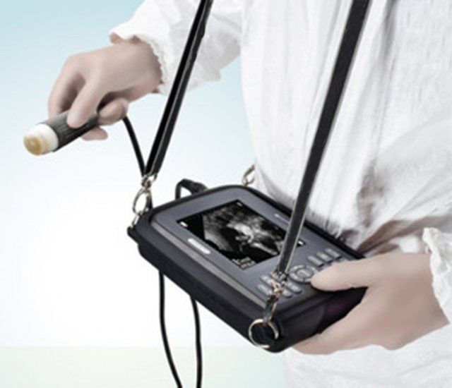 Handheld Veterinary VET Pet Laptop Ultrasound Scanner Machine Animal Probe +Case 190891045768 DIAGNOSTIC ULTRASOUND MACHINES FOR SALE