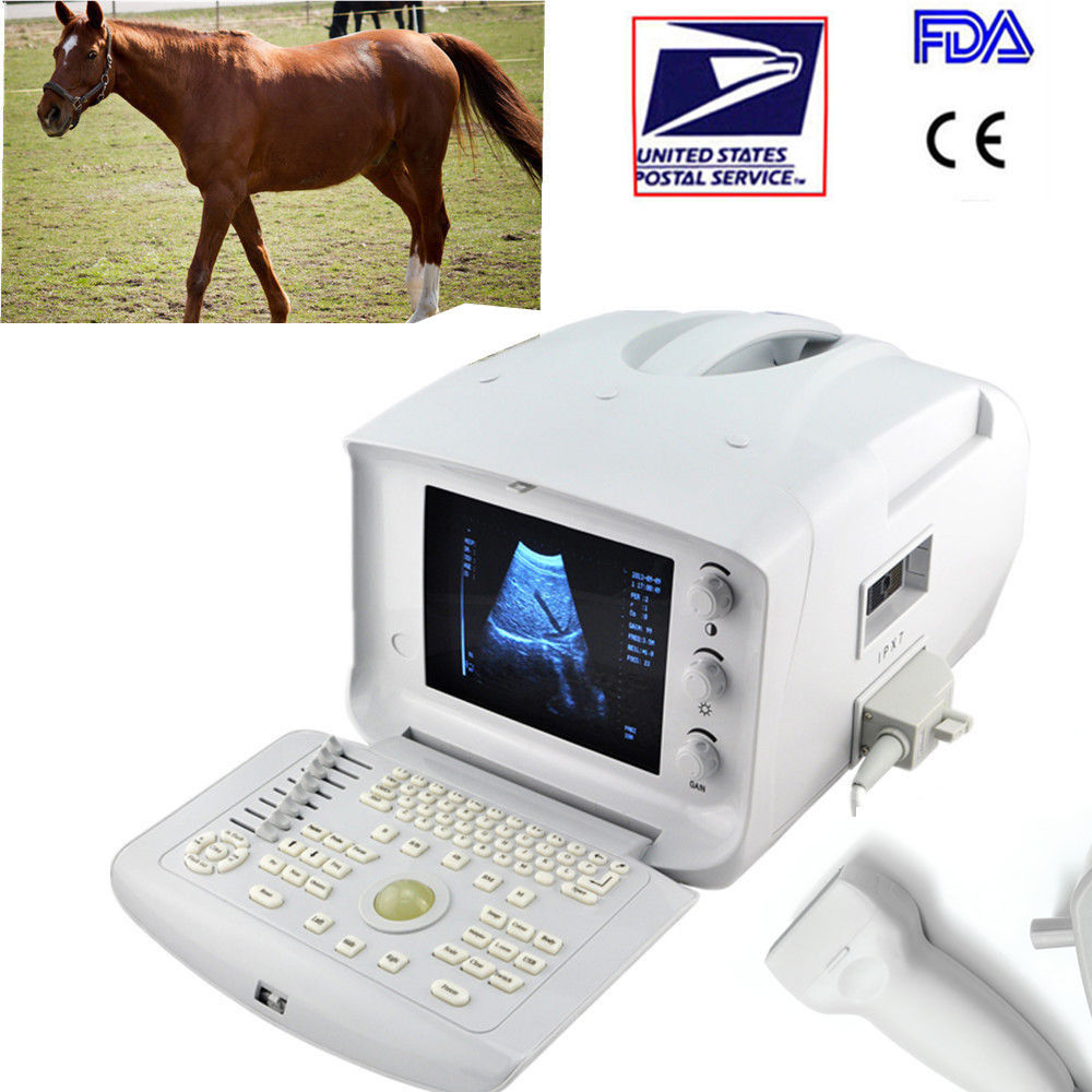 Portable Veterinary Ultrasound Scanner Machine Linear Probe 3D Veterinarian DIAGNOSTIC ULTRASOUND MACHINES FOR SALE