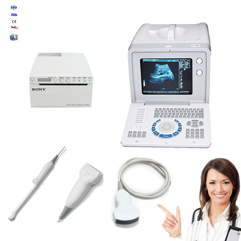 LCD Medical Ultrasound Scanner+ Linear,Transvaginal,Convex 3 Probes+Printer+3D 190891974662 DIAGNOSTIC ULTRASOUND MACHINES FOR SALE